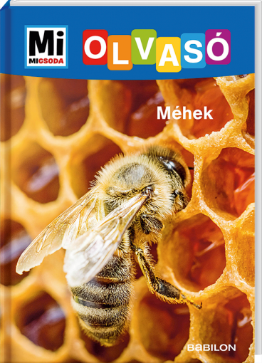 Mi MICSODA Olvasó – Méhek