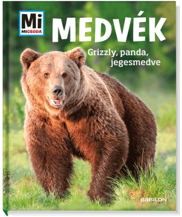 Mi MICSODA Medvék – Grizzly, panda, jegesmedve