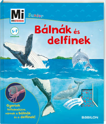 Mi MICSODA Junior – Bálnák és delfinek