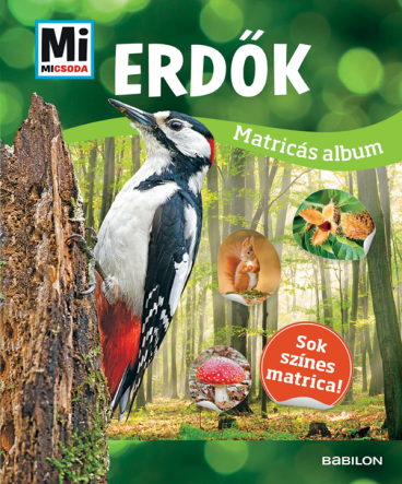 Mi MICSODA Matricás album – Erdők